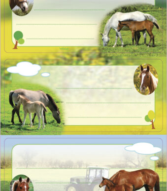 Boeketiketjes 'Paarden', 76 x 35 mm