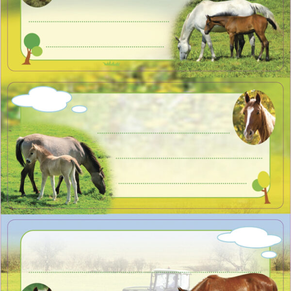 Boeketiketjes 'Paarden', 76 x 35 mm