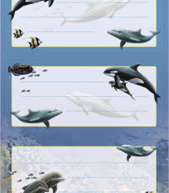 Herma etiketten 'Dolfijnen', 76 x 35 mm