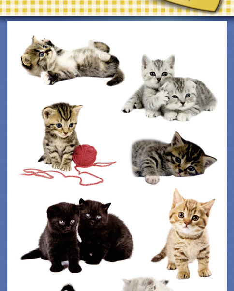 Kinderkleurplaten 'Katjesportretten', gekleurd