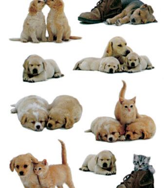 Hondenpuppy stickerset