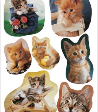 Herma stickervellen 'Fotogenieke katjes'