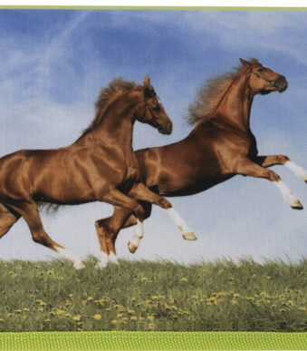 EBERHARD FABER schooletui Paard, 42-delig