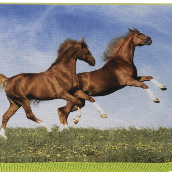 EBERHARD FABER schooletui Paard, 42-delig