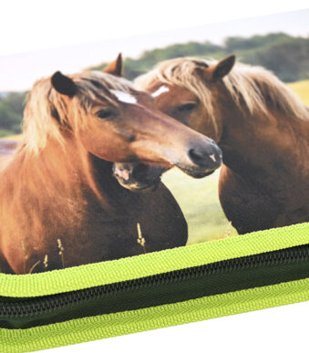 EBERHARD FABER schooletui Paard, 42-delig