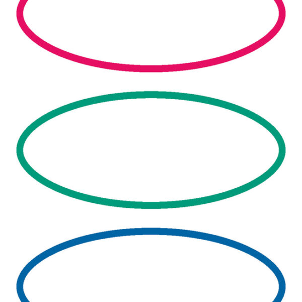 Herma ovale boeketiketten rood/groen/blauw