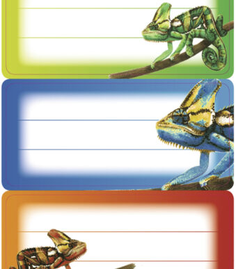 Kameleonboeketiketjes, 76 x 35 mm