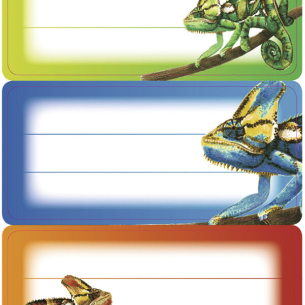 Kameleonboeketiketjes, 76 x 35 mm