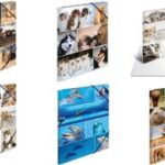 Harde hoekenfolder 'Honden', karton, A3-formaat.