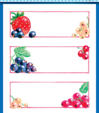 Huishoudelijke etiketten 'Aardbei & Kruisbes'