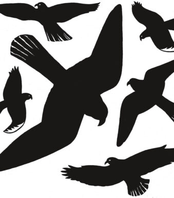 Herma waarschuwingsetiketten van folie, weerbestendig, zwart