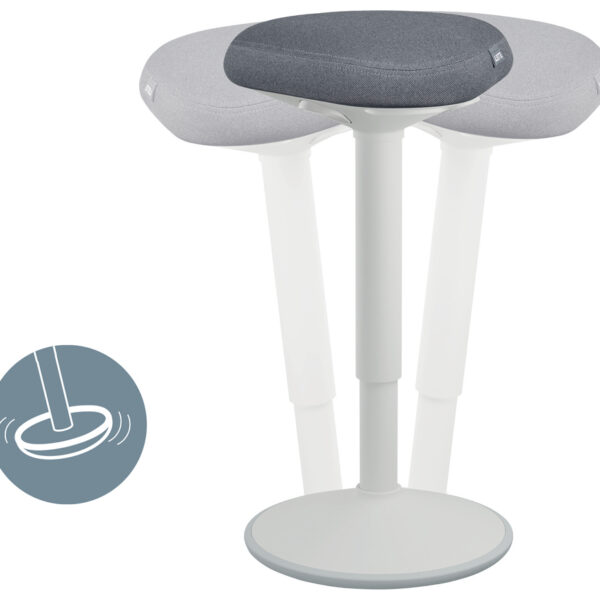 Mijn voorgestelde Nederlandse producttitel: Leitz In-Hoogte-Verstelbare Ergonomische Actieve Zithoc
