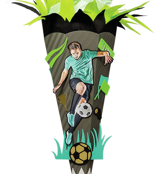 Roth knutselset voor schoenendoos 'Voetbalster', 680 mm