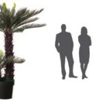Kunstplant 'Cycas', hoogte 80 cm