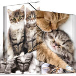 Hoekspannermapje 'Katten', van kunststof, formaat A4.