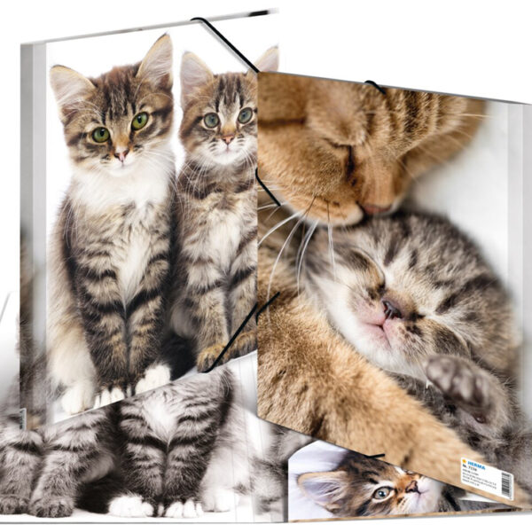 Hoekspannermapje 'Katten', van kunststof, formaat A4.