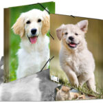 Hoekrugsysteem 'Honden', uit PP, formaat A4.