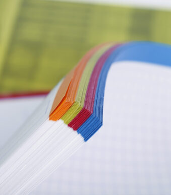 Clairefontaine geruit notitieboek A4+, met ringband