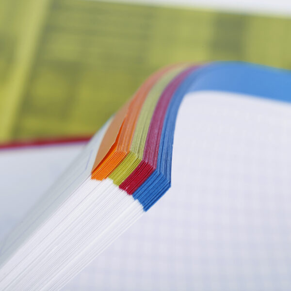 Clairefontaine geruit notitieboek A4+, met ringband