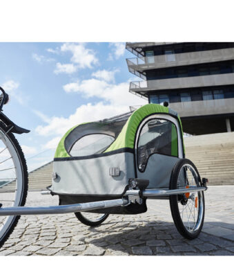 Kinderfietsaanhanger Comfort, zwart / groen