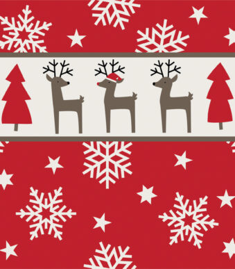 Servetten met kerstmotief 'Rudi'