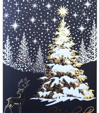 Romeinstoren kerstkaart 'Blauwe winterbos'