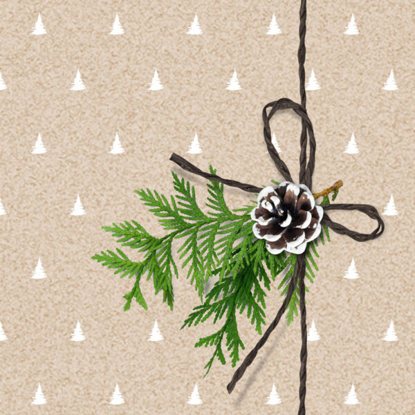 Kerstservetten 'Natuurlijke sfeer'