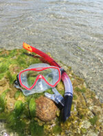 Schildpaddensnorkelset 'Fiji', 2-delig, rood