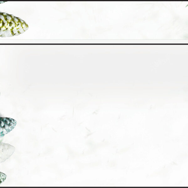 Kerstslinger-motief envelop, formaat DIN lang.