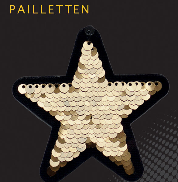Omkeerbare pailletten ster, goud-zilver