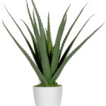 PAPERFLOW kunstplant - Aloe Vera - hoogte 450 mm