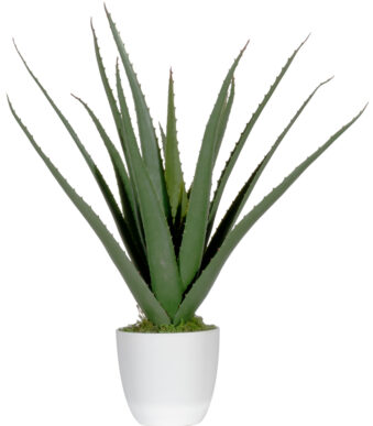 PAPERFLOW kunstplant - Aloe Vera - hoogte 450 mm