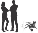 PAPERFLOW kunstvarenplant - hoogte 550 mm