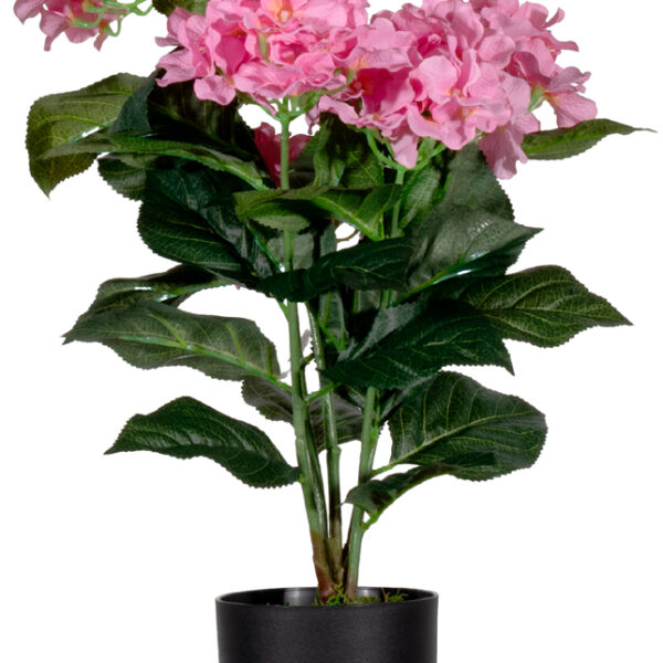 PAPERFLOW kunstbloem - hortensia, roze, hoogte: 55 cm