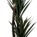 PAPERFLOW kunstplant - yucca - hoogte 150 cm