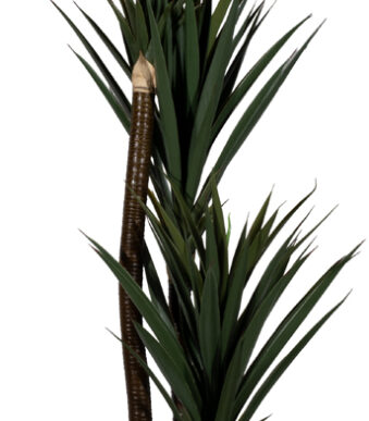 PAPERFLOW kunstplant - yucca - hoogte 150 cm