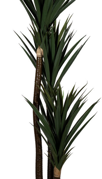 PAPERFLOW kunstplant - yucca - hoogte 150 cm