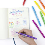 Tombow dubbelkleurstiften 'TwinTone' regenboogkleuren, set van 12