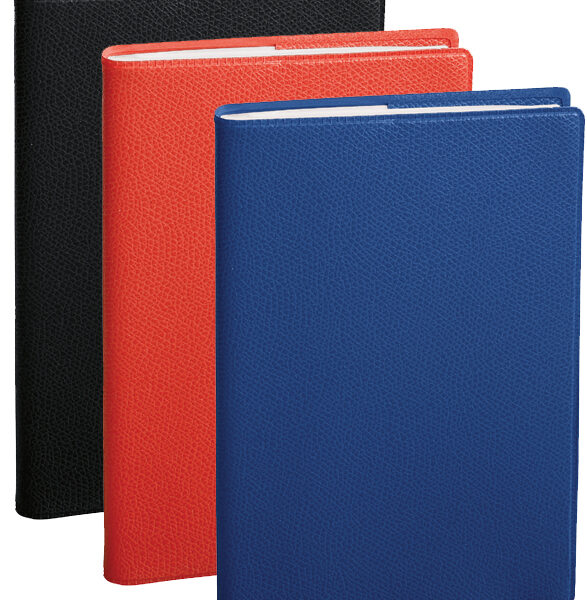 QUO VADIS Agenda 'Planning SD rep' 2025/26, 16 maanden, gesorteerd