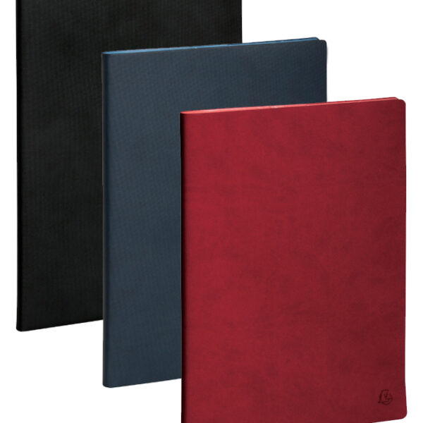 EXACOMPTA Bureauagenda SAD 29 NIL, 2025/2026, 16 maanden