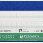 Exacompta Gekolonneerd grootboek, 11 kolommen, 24 regels