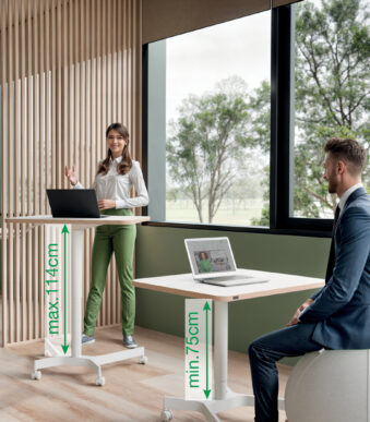 LEITZ Zit-sta bureau Ergo Compact, wit, met wielen