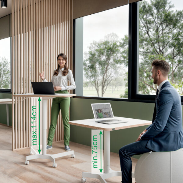 LEITZ Zit-sta bureau Ergo Compact, wit, met wielen