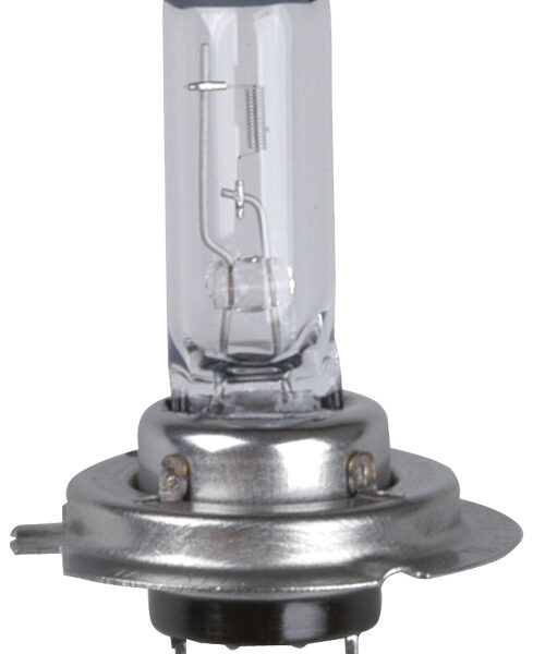 cartrend H7 Autolamp voor hoofdkoplamp, 12 V, 55 Watt