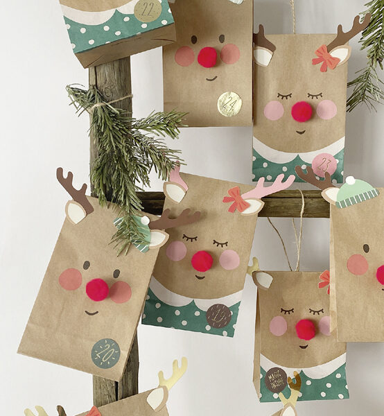 Kerstkalender-set rood neuzenrendier, 216-delig.