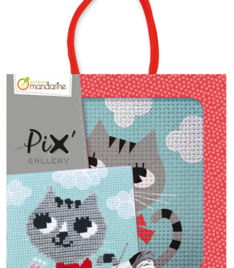 Mijn mandarijnstokjesset 'Pixgalerij', kat