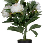 PAPERFLOW kunstbloem - pioenroos, wit, hoogte: 550 mm