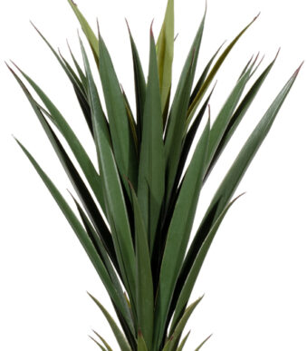 PAPERFLOW kunstplant - yucca, hoogte: 60 cm
