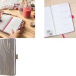 Sigel Zakagenda Jolie Beauty 2026 'Mocca Meringue', A6