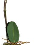 PAPERFLOW kunstorchidee - wit, hoogte: 400 mm